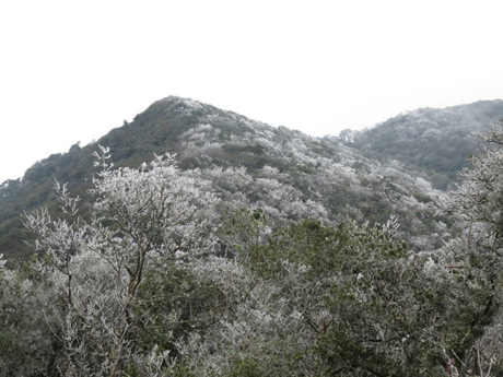 Như[-]Hùng